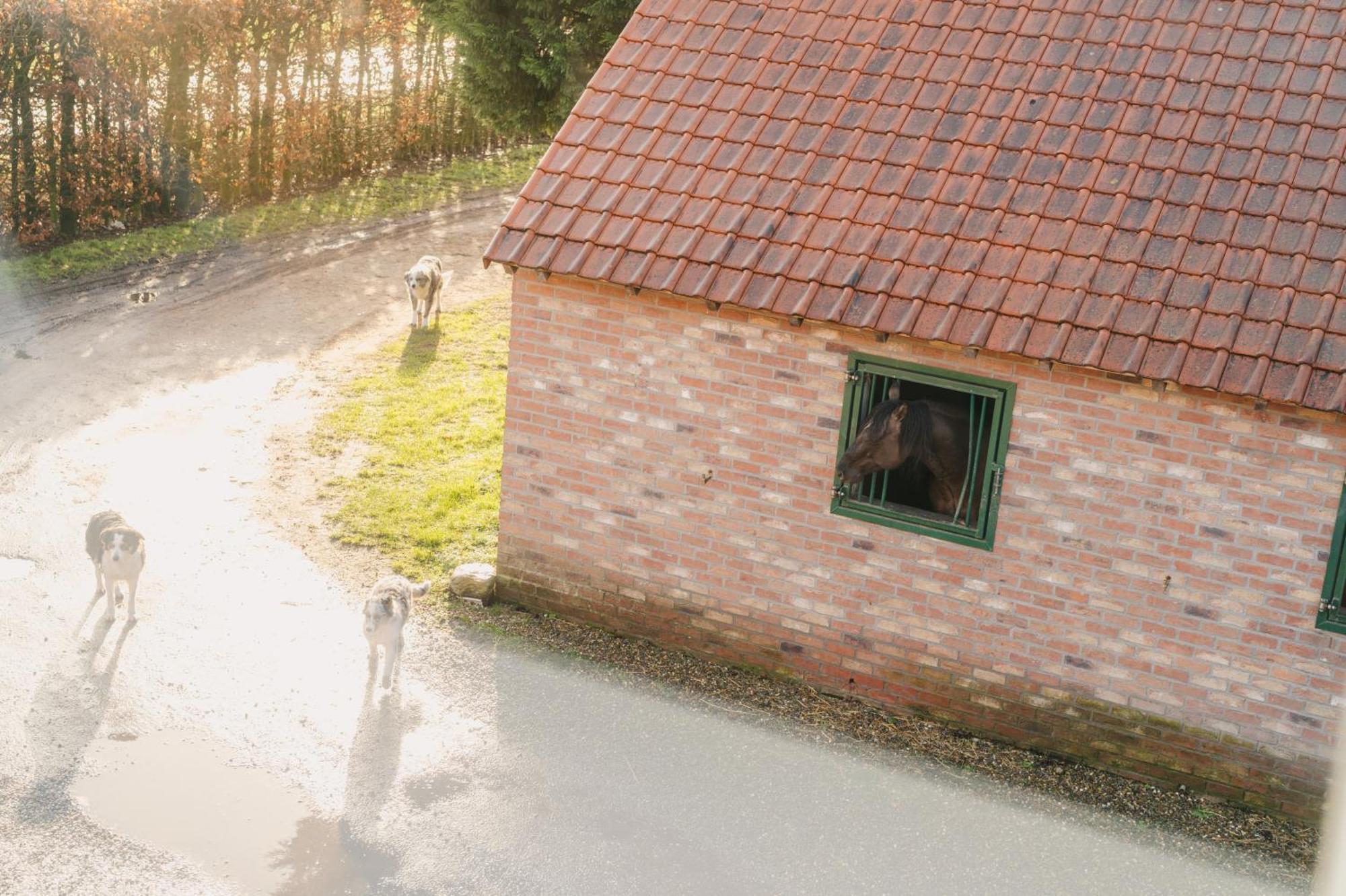 De Dommelhoeve Peer Exteriör bild